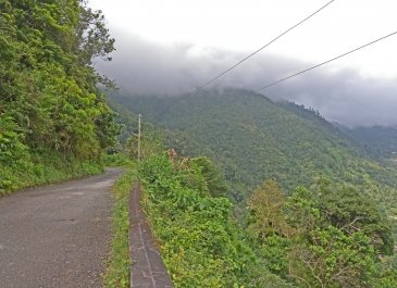 Blue Mountains National Park Jamajka