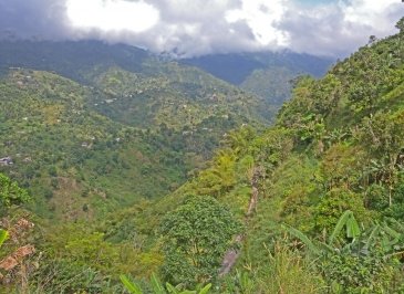 Blue Mountains National Park Jamajka