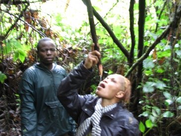 w dżungli w drodze na wulkan Nyiragongo