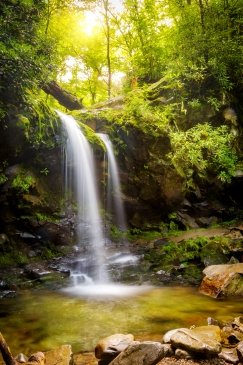 Park Narodowy Great Smoky Mouintains USA