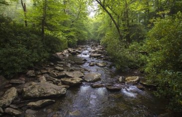 Park Narodowy Great Smoky Mouintains USA