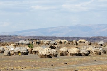 Park Narodowy Jeziora Turkana Kenia