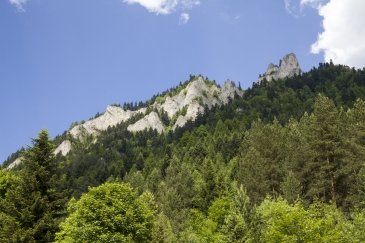 Pieniny