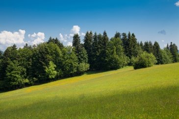 Pieniny