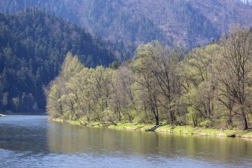 Pieniny