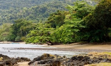 Masoala National Park Madagaskar