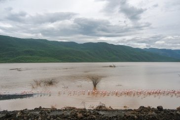 Jezioro Bogoria