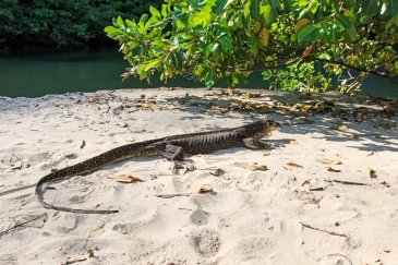 Puerto Princesa - Filipiny