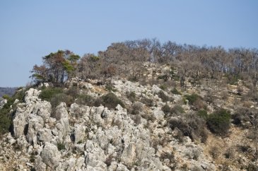 Góra Karmel- Izrael