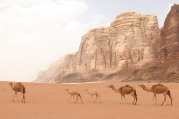 Wadi Rum Jordania