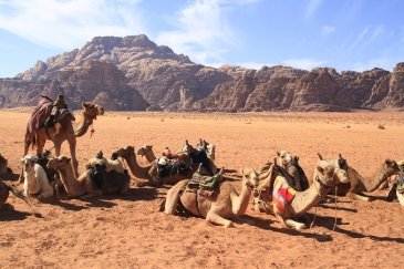 Wadi Rum Jordania