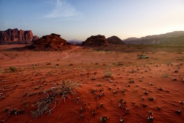 Wadi Rum Jordania