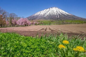Park Narodowy Shikotzu Toya