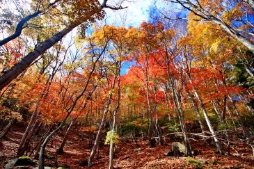 Jezioro Chuzenji - Japonia