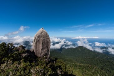 Wyspa Yakushima- Japonia