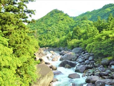 Wyspa Yakushima- Japonia