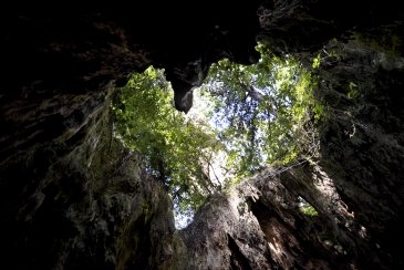 Wyspa Yakushima- Japonia