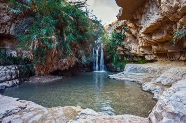 Ein Gedi- Izrael