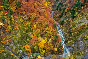 Góry Shirakami- Japonia