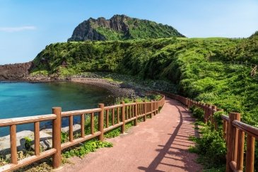 Wyspa Jeju ( Czedzu) Korea Południowa