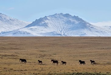 Góry Tien Szan Kirgistan