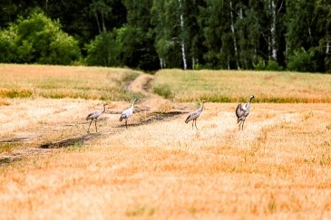 Akan National Park Akan Mashu jeziora Japonia