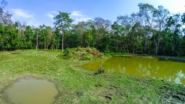 Park Narodowy Chitwan - Nepal