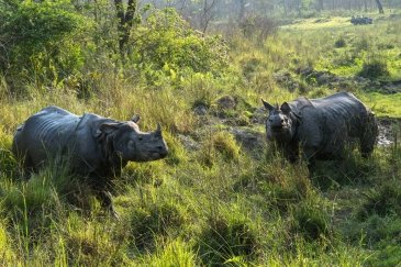 Park Narodowy Chitwan - Nepal