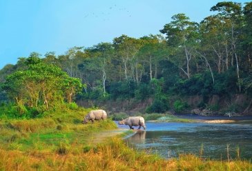 Park Narodowy Chitwan - Nepal