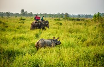 Park Narodowy Chitwan - Nepal