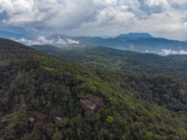 Sri Lanka Las Sinharaja