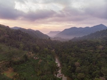 Sri Lanka Las Sinharaja