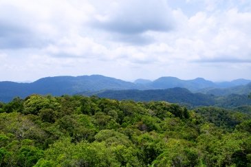 Sri Lanka Las Sinharaja