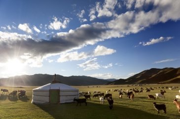 Pustynia Gobi- Mongolia