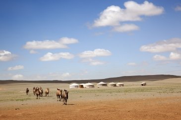 Pustynia Gobi- Mongolia