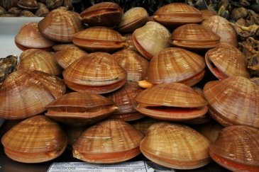 Mercado de Atarazanas