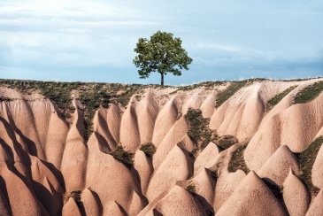 Kapadocja Turcja