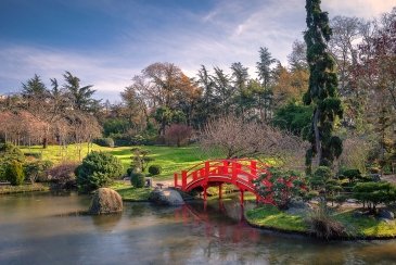 Japanese Garden