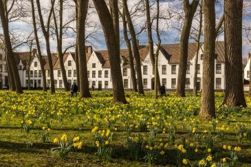 Domy Beguinages w Brugii- Belgia