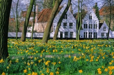 Domy Beguinages w Brugii- Belgia