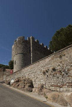 Musee de la Castre