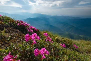 Retezat National Park- Rumunia