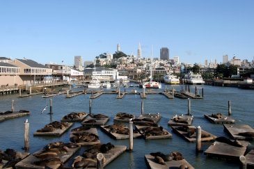 Fisherman's Wharf