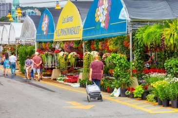 Atwater Market