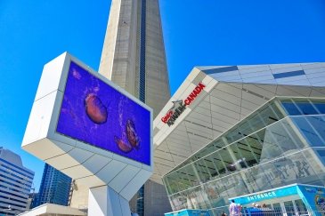 Ripley's Aquarium of Canada