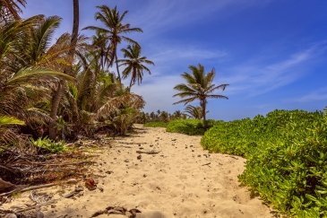 Punta Cana - Dominicana