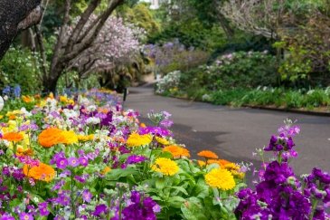 .The Royal Botanic Garden Sydney