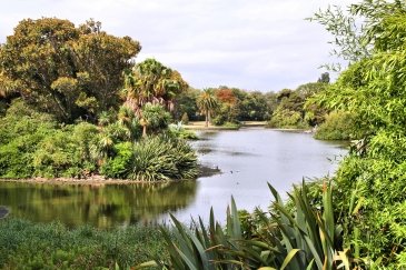 Royal Botanic Gardens