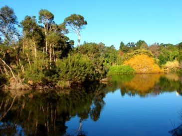 Royal Botanic Gardens