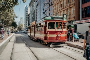 Tram Tour